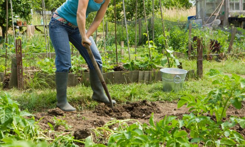 robert mygardenandpatio